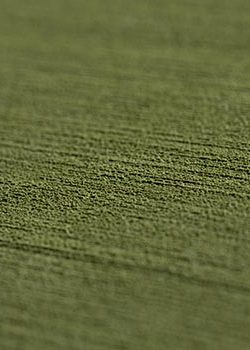 OliveGreen